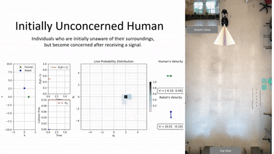 Dynamic Embedding Optimization